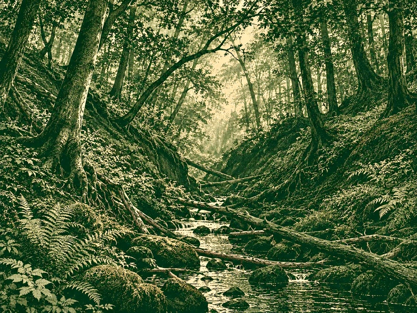 A woodland path, part of the Virtus Nemeton visual identity